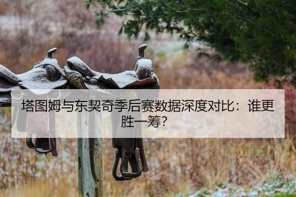 ta-tu-mu-yu-dong-qi-qi-ji-hou-sai-shu-ju-shen-du-dui-bi-shui-geng-sheng-yi-chou-1-605.jpg